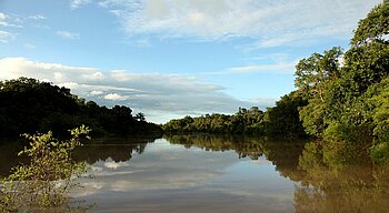 Fluss im Kainji-Nationalpark, Nigeria