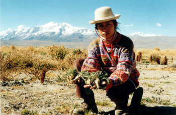 Bolivien Alltag Leben Hochland