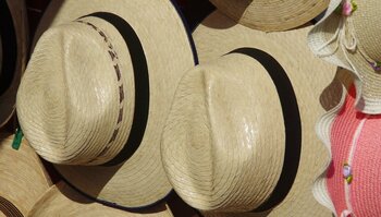 Panama-Hüte