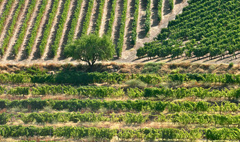 Portugal Wirtschaft