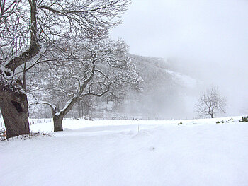 Winter in Lagarelhos, Portugal