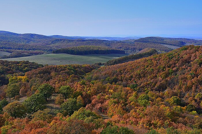 Landschaft bei Holloko