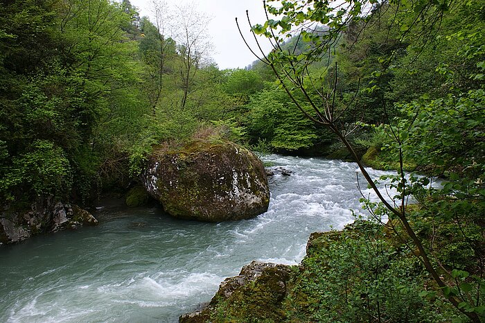 Fluss in Georgien