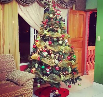 Weihnachtsbaum in Panama