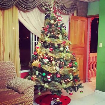 Weihnachtsbaum in Panama