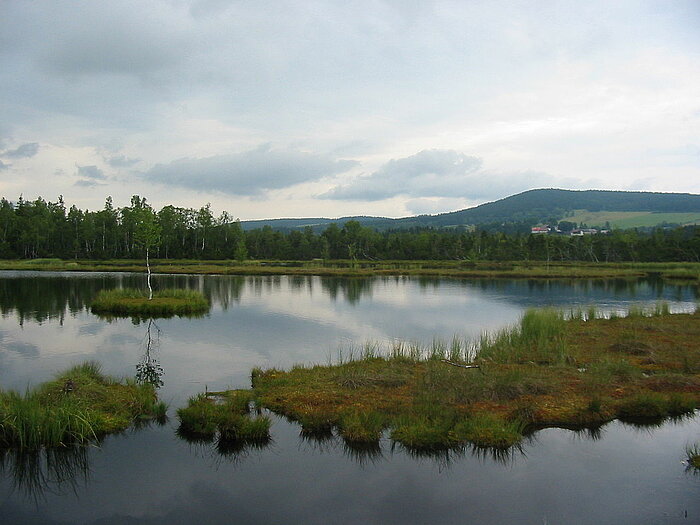 Hochmoor im Nationalpark Šumava