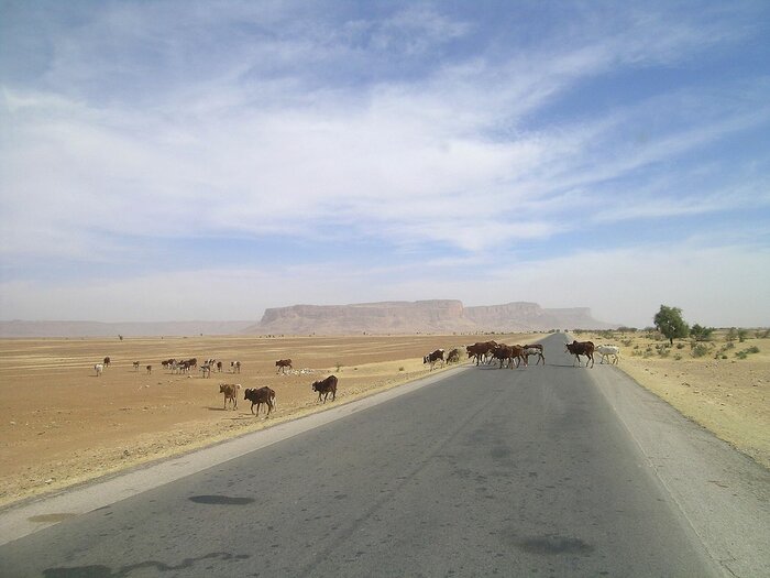 Route de l'Espoir in Mauretanien