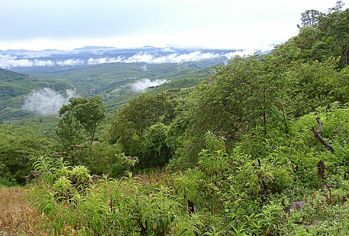 Honduras Berge