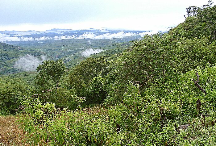 Honduras Berge