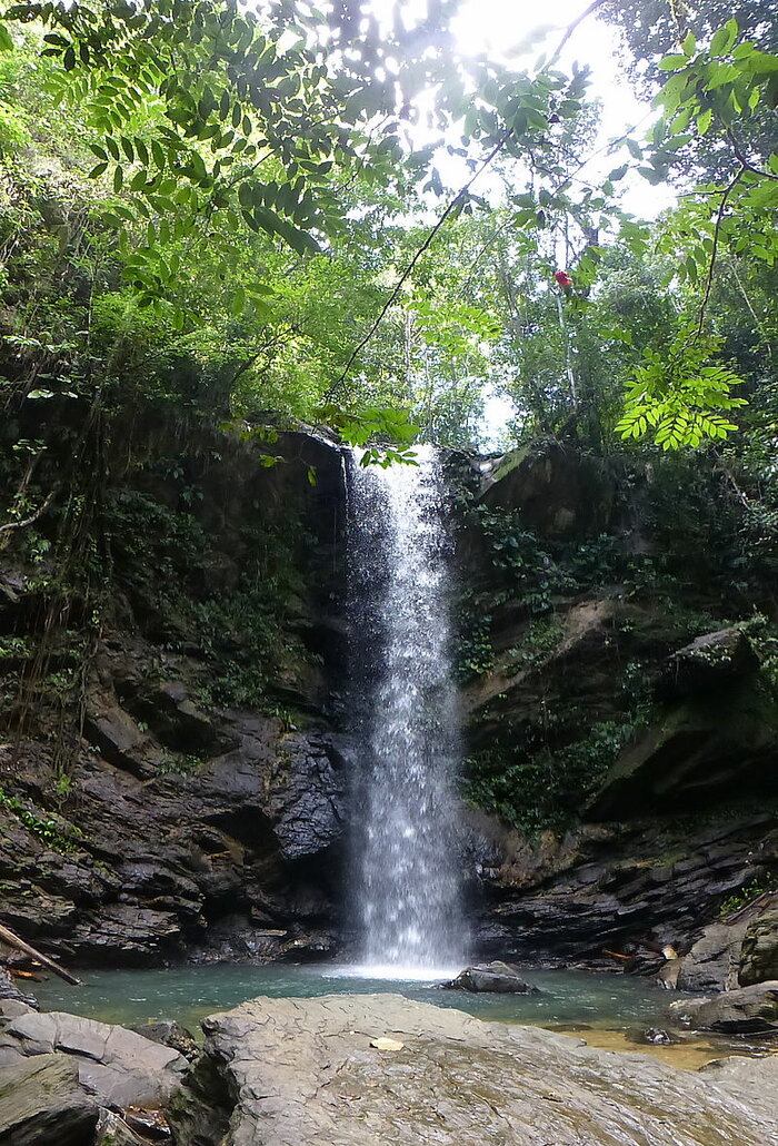 Avovat Wasserfall, Trinidad