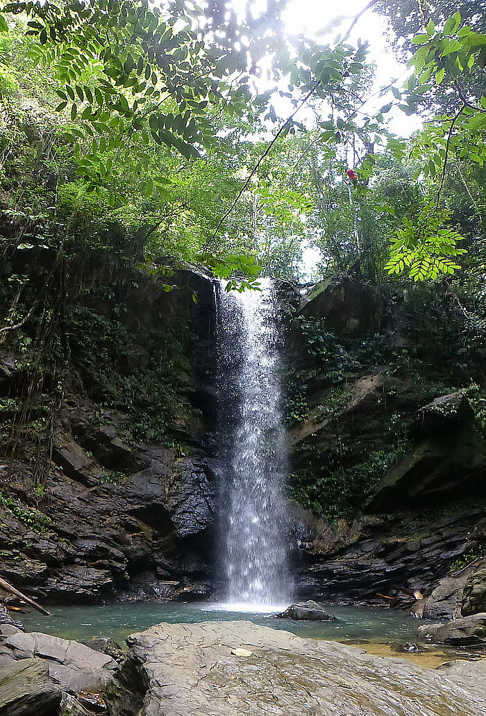 Avovat Wasserfall, Trinidad