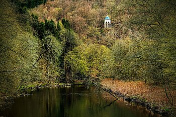 Bäume Pflanzen NRW