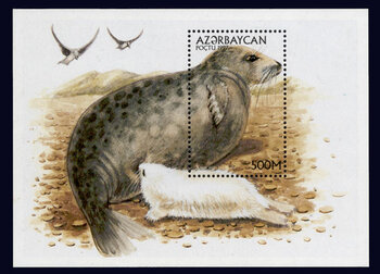 Kaspische Robbe auf einer Briefmarke aus Aserbaidschan