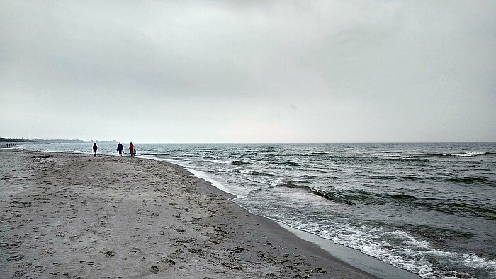 Strand auf dem Darß