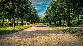 Berliner Natur