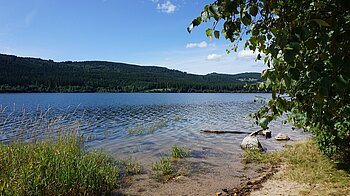 Schluchsee