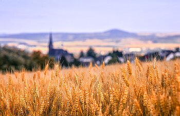 Dorf, Rheinland-Pfalz