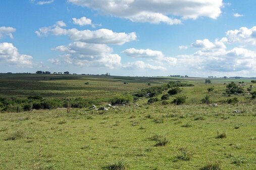 Natur in Uruguay