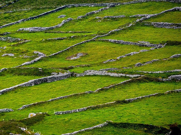 Steinmauern in Irland