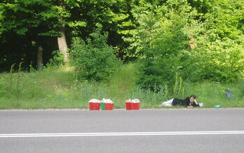 Alltag in Moldawien: Pilzverkauf am Straßenrand