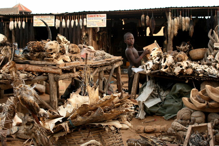 Voodoo-Fetischmarkt in Lomé