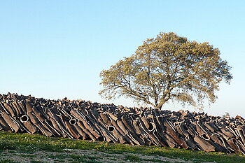 Korklagerung in Portugal