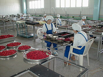 Obstverarbeitung in einer Fabrik in Armenien