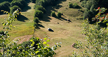 Natur in Swanetien in Georgien