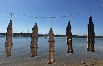Portugiesisches Nationalgericht Bacalhau Portugal Nationalgericht