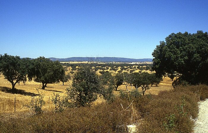 Landschaft im Alentejo