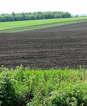 Russland Agrardreieck Schwarzerdeboden in Westrussland