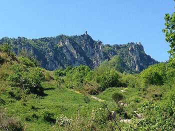 Wald am Monte Titano