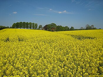 Wirtschaft Schleswig-Holstein