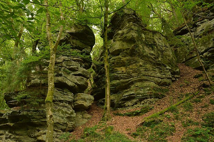 Felsen im Ösling