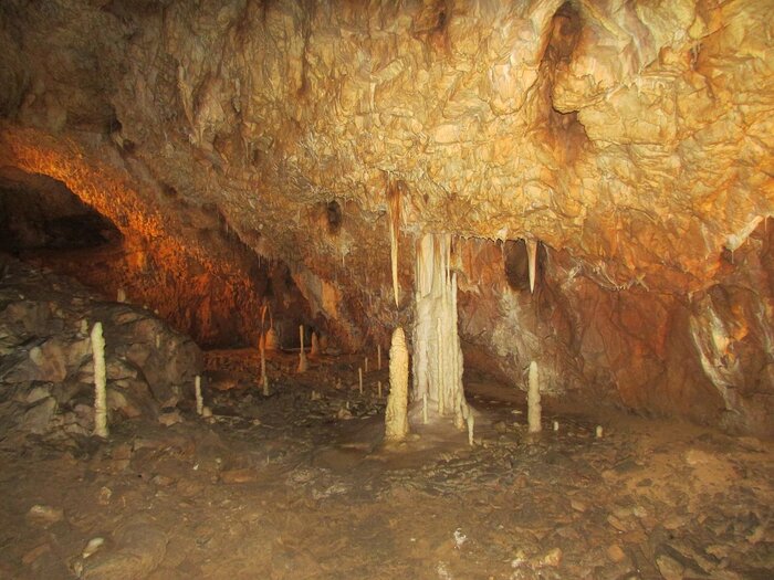 Bärenhöhle Peștera Urșilor in Siebenbürgen