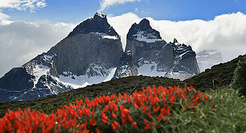 Chile Landschaften Tiere