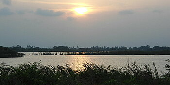 Landschaft im Bundesstaat Tabasco