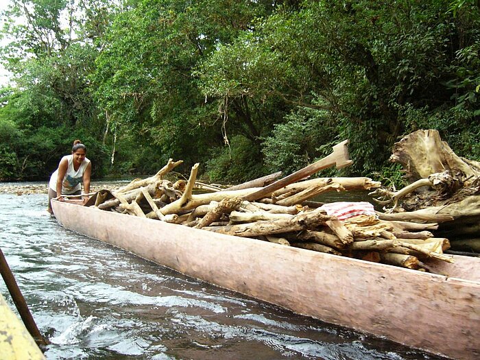 Holztransport im Boot in Panama