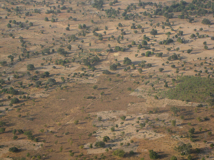 Trockensavanne westlich von Ouagadougou