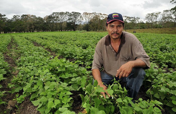 Farmer in Nicaragua in seinem Bohnenfeld
