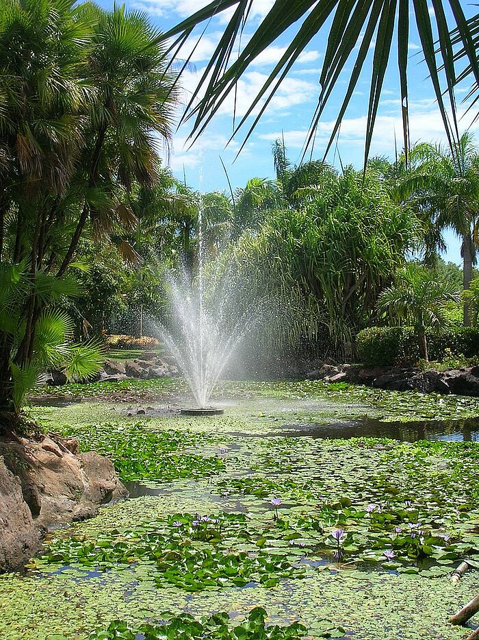 Botanischer Garten von Nevis