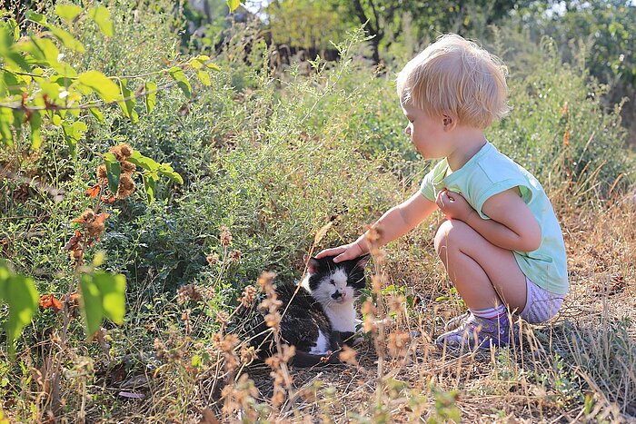Mächen aus der Ukraine streichelt eine Katze
