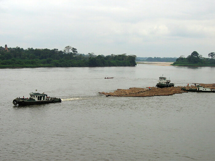 Transport von Baumstämmen auf dem Ogooué