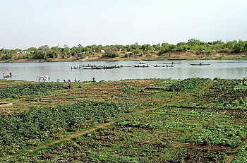 Landwirtschaft am Fluss Senegal bei Kayes, Mali