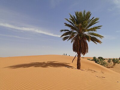 Mauretanien Land