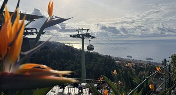 Typisch Madeira: Blumen und Seilbahnen Madeira Typisch