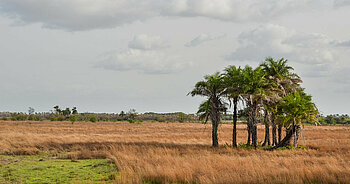 Guinea-Bissau Landschaft