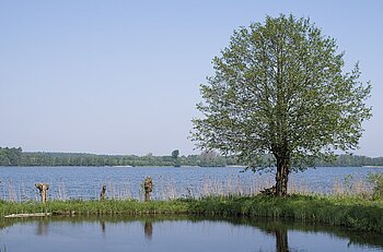 Bornhöveder See