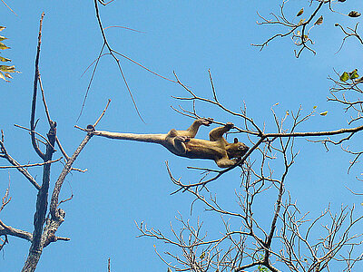 Nicaragua Natur