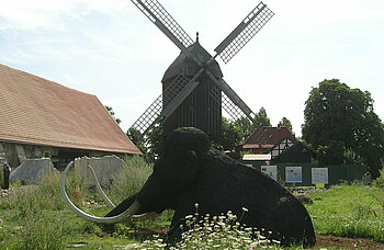 Eiszeitgarten Salzgitter-Salder